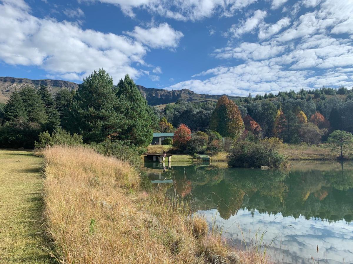 Brackenburn Trout And Trail Retreat Elandskop Exterior foto