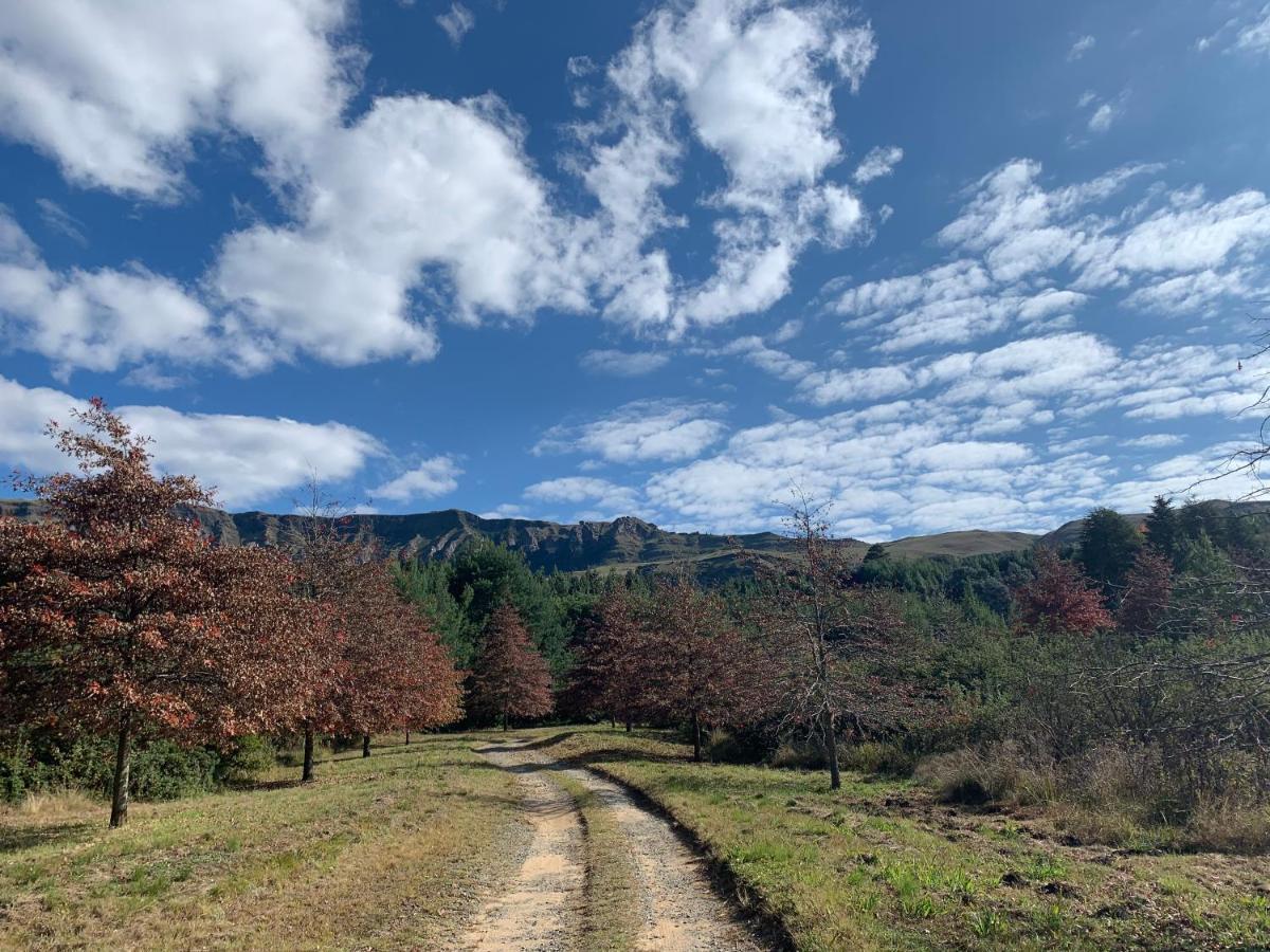 Brackenburn Trout And Trail Retreat Elandskop Exterior foto